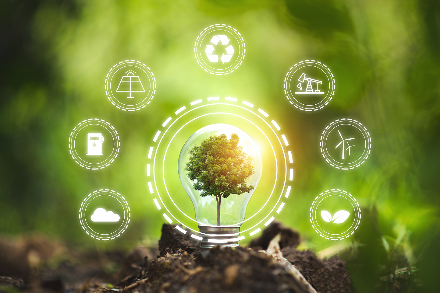 Imagen referencial para el artículo de la ISO 14001 